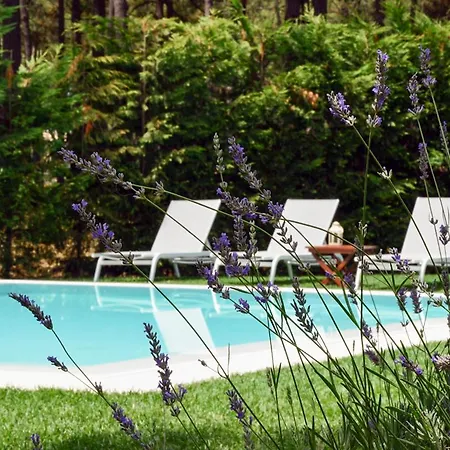Aroeira Sleeps 8 Pool Wifi Villa *